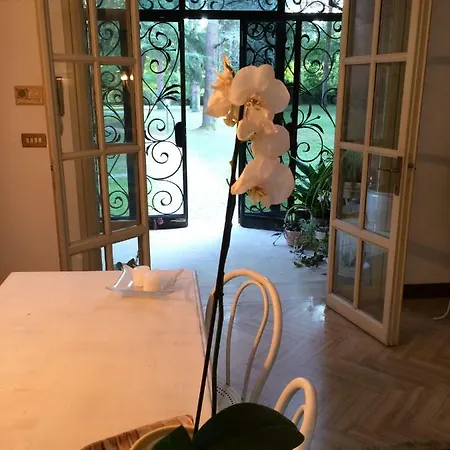 Гостевой дом Venezia & Relax